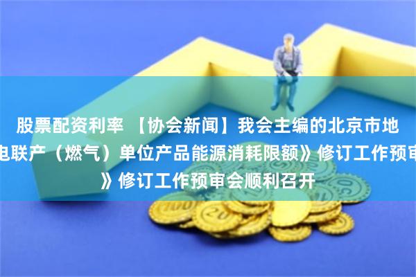 股票配资利率 【协会新闻】我会主编的北京市地方标准《热电联产（燃气）单位产品能源消耗限额》修订工作预审会顺利召开