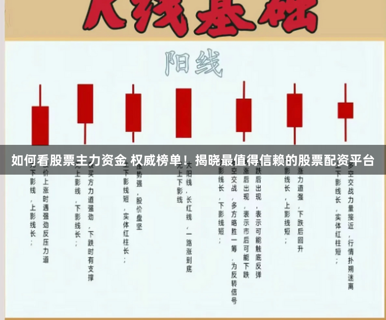 如何看股票主力资金 权威榜单！揭晓最值得信赖的股票配资平台