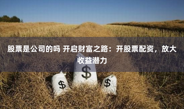 股票是公司的吗 开启财富之路:开股票配资,放大收益潜力