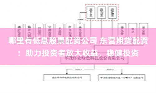 哪里有低息股票配资公司 东营期货配资：助力投资者放大收益，稳健投资